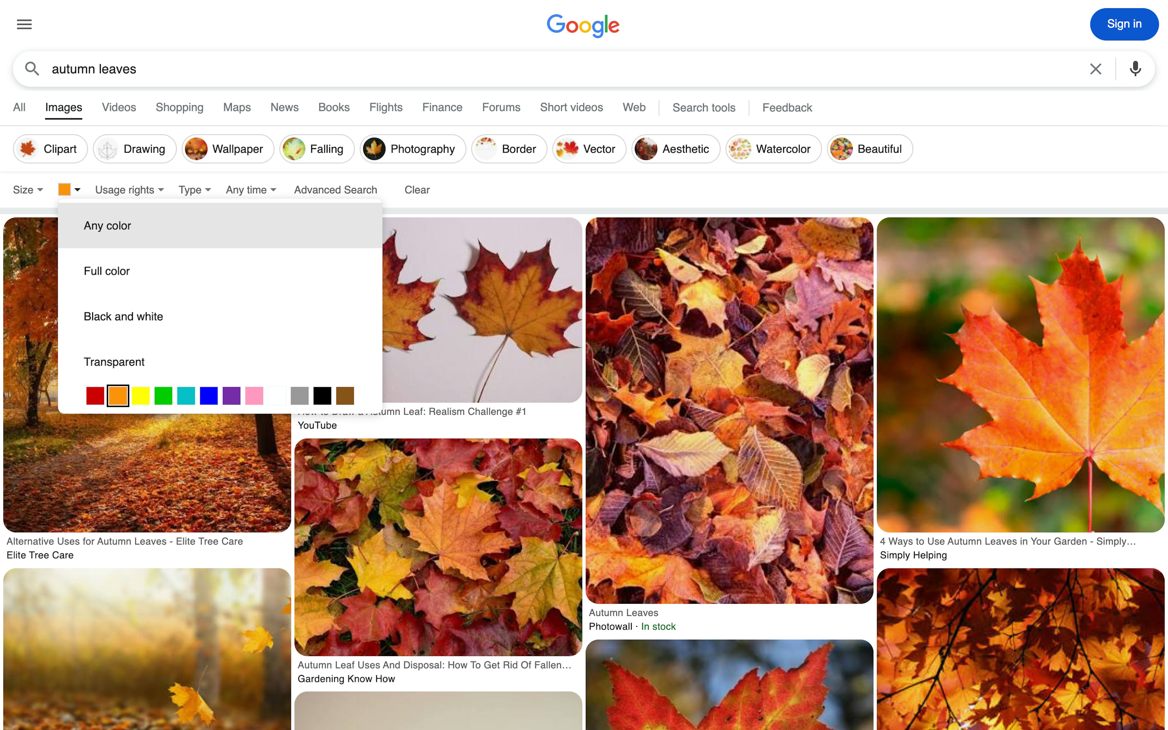 Google Image Search [es]