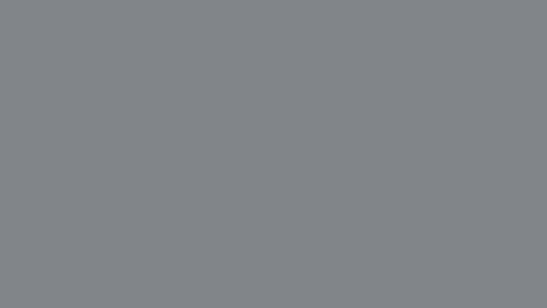 Gunmetal Gray Color